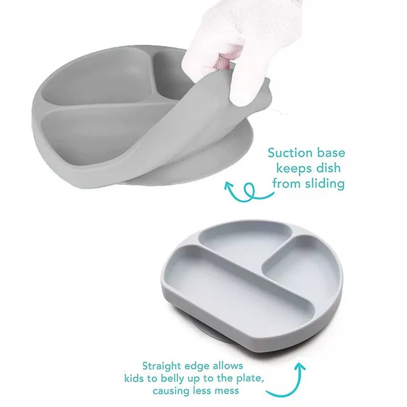 Detailed photo showing Plate with Suction base